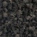Mink